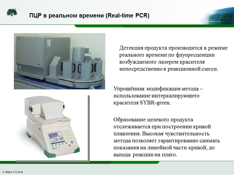 ПЦР в реальном времени (Real-time PCR) Детекция продукта производится в режиме реального времени по